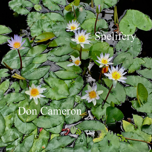 Sunshine and the Rain