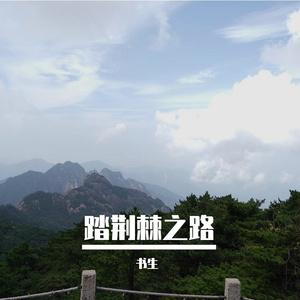 踏荆棘之路(主旋律)