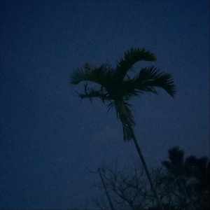 Rest in Peace Zàa (Flying High)