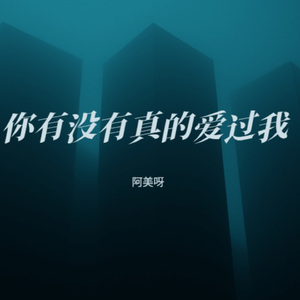 你有没有真的爱过我 (烟嗓版)