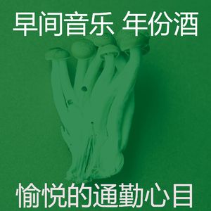 一尘不染通勤印象数