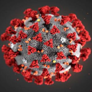 Covid19 (feat. J-Mozez & KavaWon)