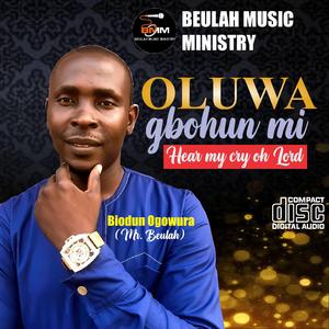 OLUWA GBOHUN MI