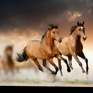 Mo Raftem boĝi janat