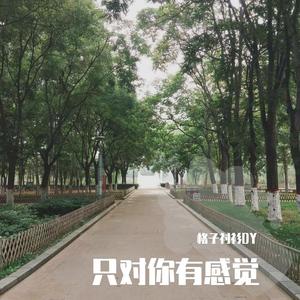 只对你有感觉