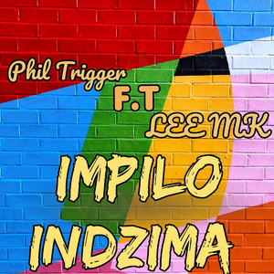 Impilo indzima