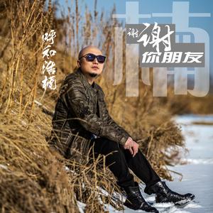 谢谢你朋友 (DJ何鹏版)