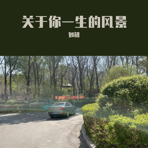 关于你一生的风景