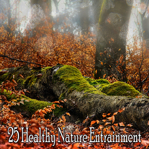 Take A Walk In Nature