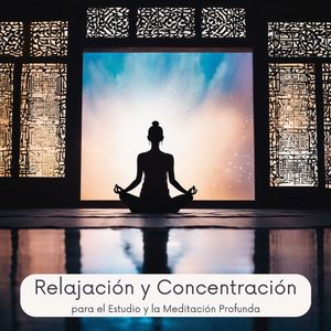 Vibración Musical Imperdible