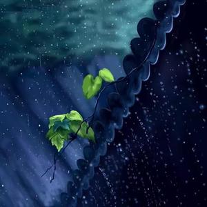 Purple Rain（紫色雨）