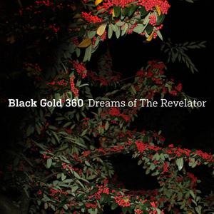 Silva (feat. Lucas Dols, Daan Herweg, Coen Kaldeway & Teus Nobel)