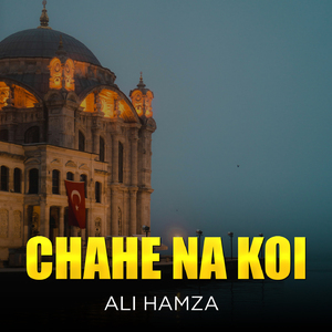 Chahe Na Koi