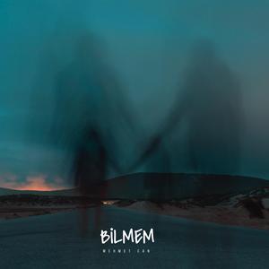 Bilmem