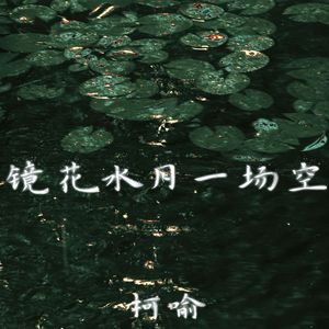 镜花水月一场空