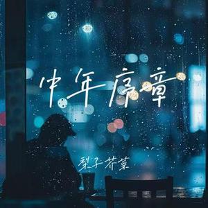 中年序章 (上有老要养下有小)