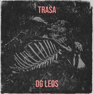 Trasa