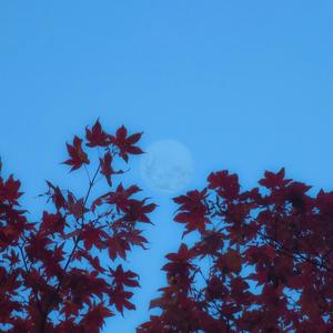 보름달(#O) (feat. 시나브로)