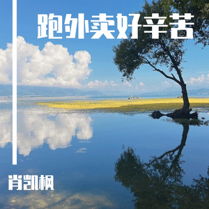 跑外卖好辛苦(DJ版)