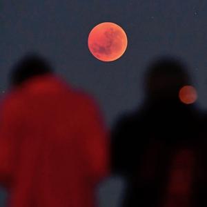 N.T.F (feat. Nobel & Traedaee)