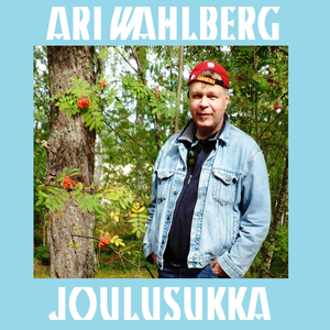 Joulusukka
