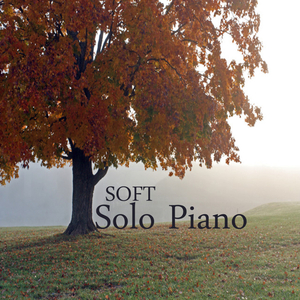 Forest Gump (Feather Theme)