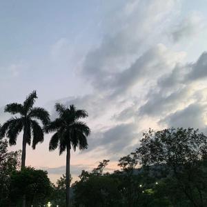 INFATUATION-prod by fake blood
