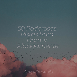 Armonía Budista