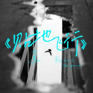 贴地飞行 - 许夏