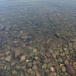 月光潤色ガール（翻自れるりり）