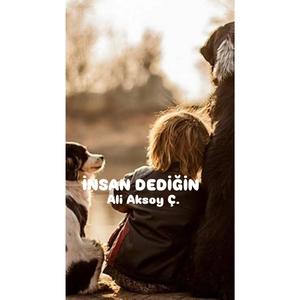 İnsan Dediğin