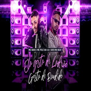 Ela Gosta de Ladrão Gosta de Bandido (feat. Mc Pelé Da V.A)