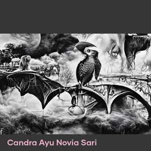 Lyrics from the Anorak's Heart