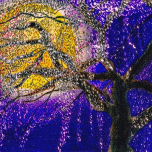 月光夜桜ツアー