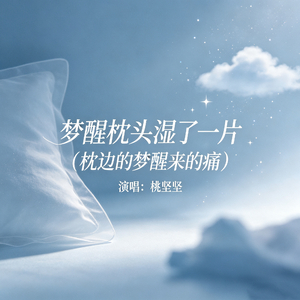 梦醒枕头湿了一片(枕边的梦醒来的痛)