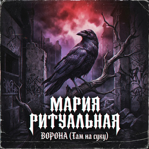 Ворона (Там на суку)