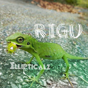 Rigu
