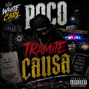 Poco Tramite Causa