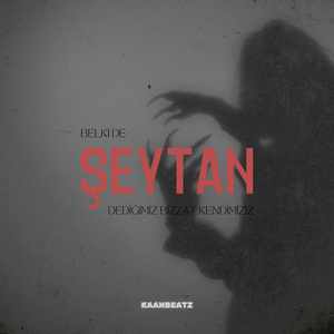 Belki De Şeytan Dediğimiz Bizzat Kendimiziz