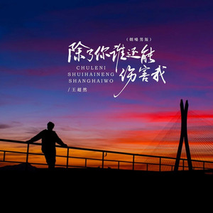 除了你谁还能伤害我 (DJ阿越版)