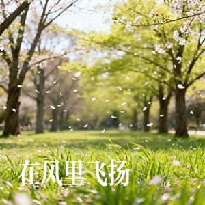 在风里飞扬
