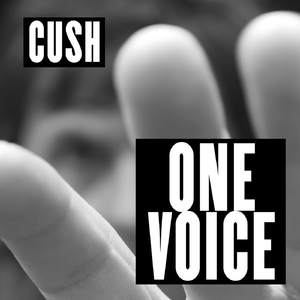 One Voice