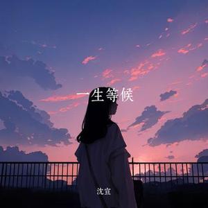 不懂装懂