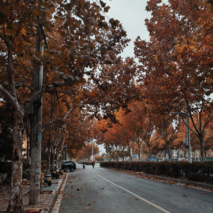 月入秋风拂帘头