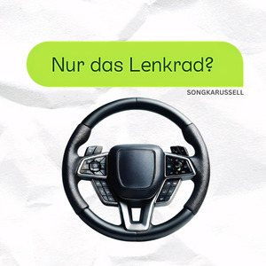 Nur das Lenkrad?