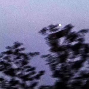 慢热（翻自 满舒克）