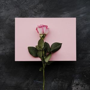 我放不下（prod by Morrow x wustin）