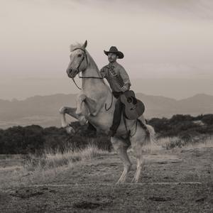 Palomino