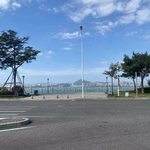 DJ-野狼的士高（DJ阿辉 remix）