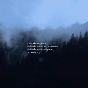 OnlyWhenIGazeAtDisillusionmentCanIUnderstandIt